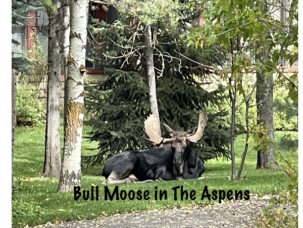 Located in the Aspens community in Wilson